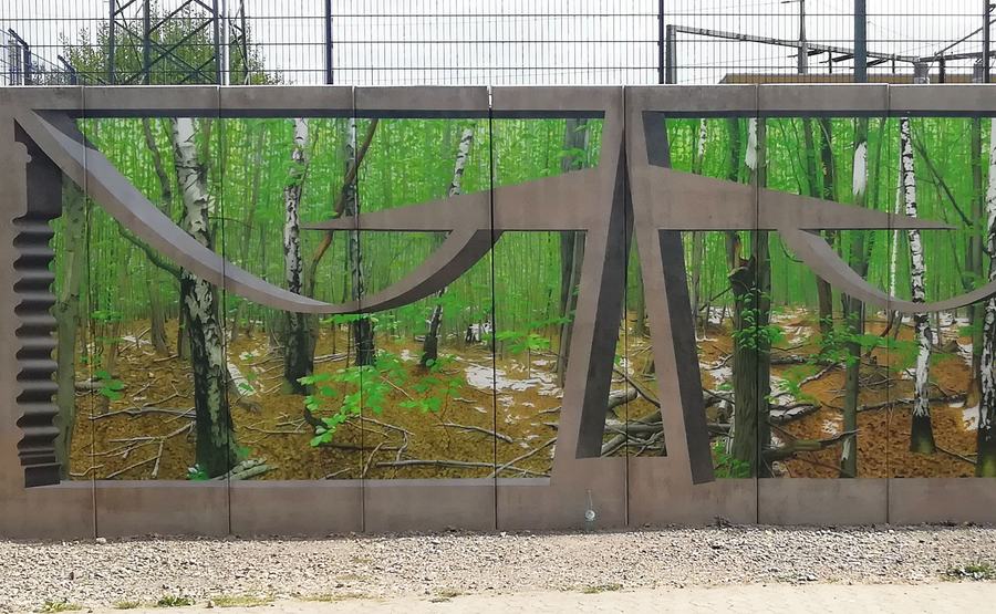 Linke Hälfte der Stützwand, Teilansicht mit Birkenwald
