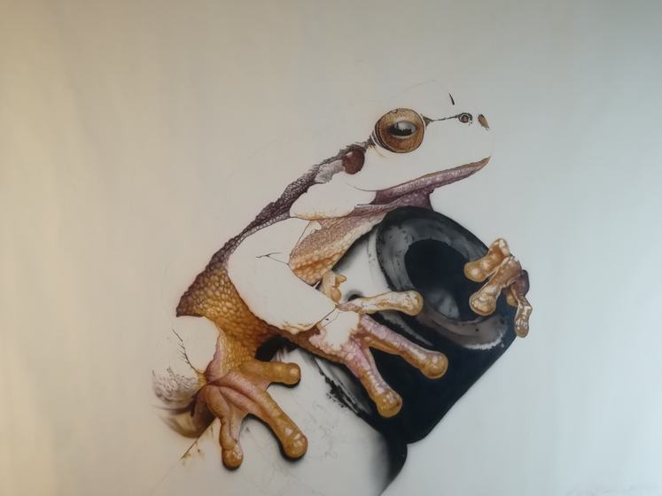 Der Laubfrosch: erste Vorzeichnung