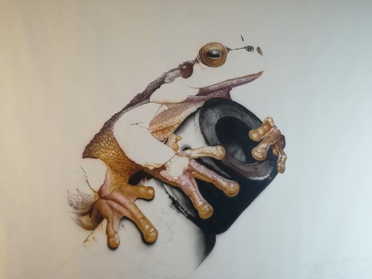 Der Frosch bekommt Struktur und Schatten