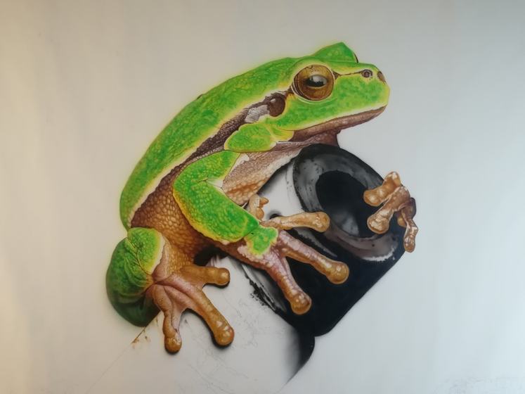 Der Frosch ist fast fertig
