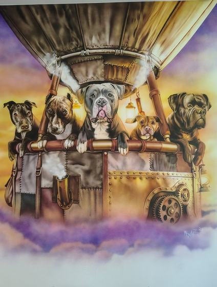 Hundepension TOMA, Großrosseln: Ballon-Gondel voller Hunde