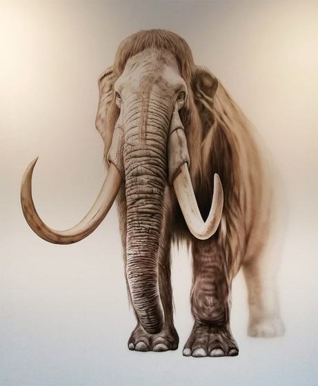 Mammut in Airbrush