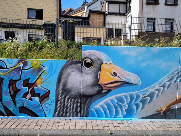 Gänsekopf und Graffiti