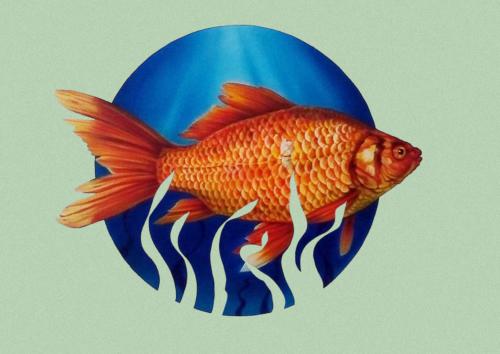 fisch_wandbild