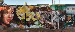 Fassadengestaltung Airbrush Wandmalerei Graffiti Saarland